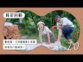 《極島森林2》Ep10精彩回顧｜陳柏霖、王淨砌磚做土窯雞 皮薄多汁超成功！