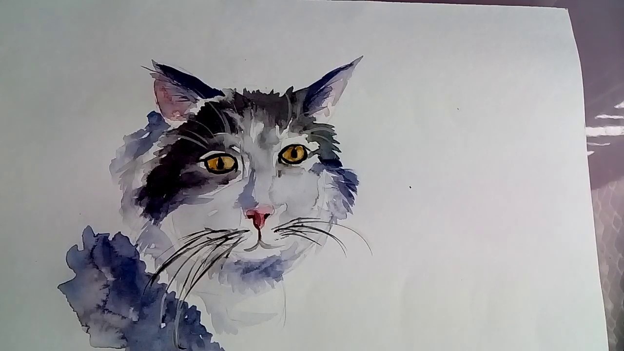 Watercolor Cat painting for beginners. - YouTube Watercolor Cat painting for beginners. - YouTube