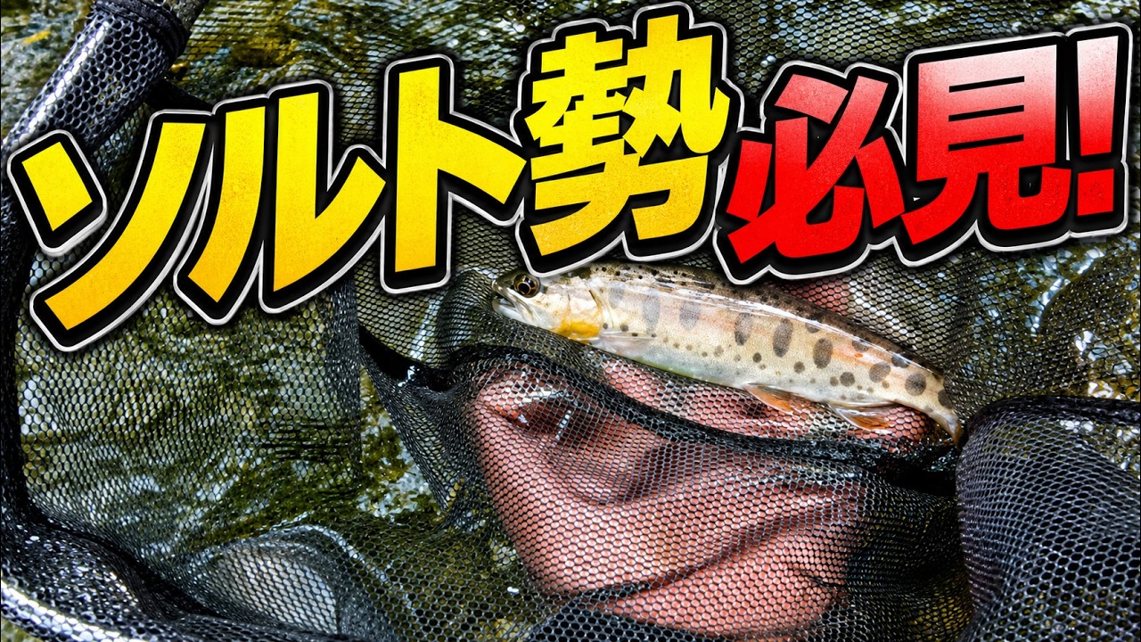 【海のプロが断言】実は〇〇が海釣り上達の最短ルート!? ソルトガチ勢が渓流ヤマメに挑んだら衝撃の連続だった…！