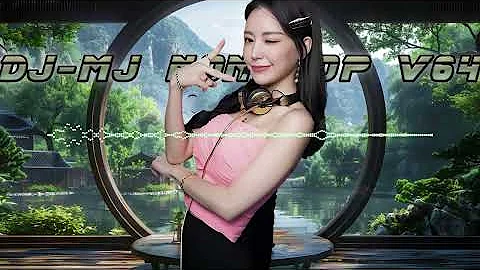 DJ MJ Nonstop V64 2025 偏向 X 跳楼机 X 执子之手 X 谦让 X 青花 X 我走后 X 给不了你未来 X 满天星辰不及你 