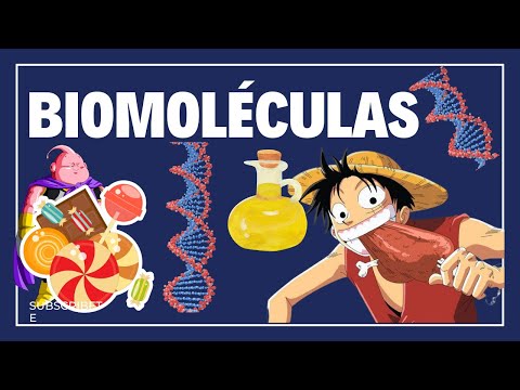 ¿Qué son las