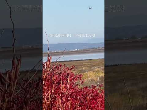 北津軽郡鶴田町　津軽富士見湖#津軽のふるさと　水森かおり