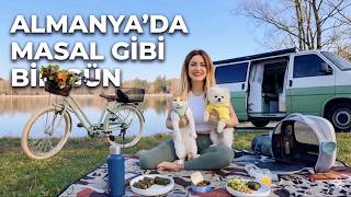 Almanya’da Göl Kenarında Piknik 🐶🐱 | Kedi & Köpekle Karavanda Yaşam