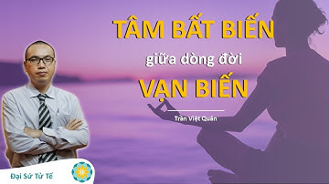 Làm Sao Để Bình An Trước Nghịch Cảnh Cuộc Đời | Thầy Trần Việt Quân