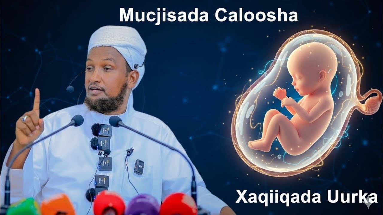 Sh xuseen cali jabuti |Mucjisada Caloosha Hooyada_Muxadaro Qiimo Badan &Qiso cajiib Ah #wacdi 
