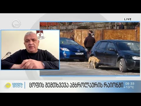 ცოფის რამდენიმე ლაბორატორიულად დადასტურებული შემთხვევა - საკარანტინო მდგომარეობა სოფელ კვაცხუთში