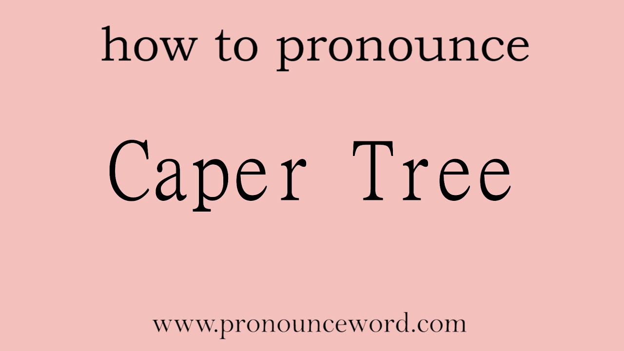 Caper Tree. How to pronounce the english word Caper Tree .Start with C