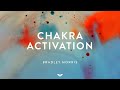 Guided Chakra Activation Meditation by Bradley T. Morris | Omvana by Mindvalley