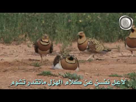 كانك معزم للسفر