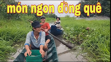 Thăm 2 Cái Lờ Cá Lóc Khổng Lồ Nấu Nồi Cháo Cá Lóc Nấm Bào Ngư Quá Ngon # SĂN BẮT ĐỒNG THÁP #