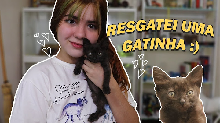 ADOTAMOS UMA GATINHA!! *meu primeiro gato de estimação*