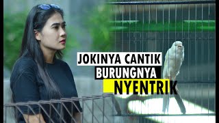 Joki Cantik Dengan Kenari Nyentrik