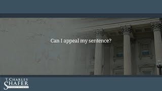 Can I appeal my sentence?