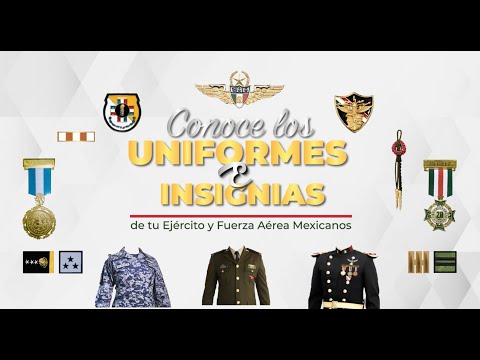 Video: Insignia militar con número personal