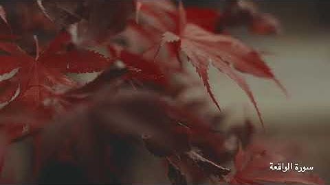 تلاوة طيبة لسورة الواقعة | اللهم اجعلنا من أصحاب اليمين