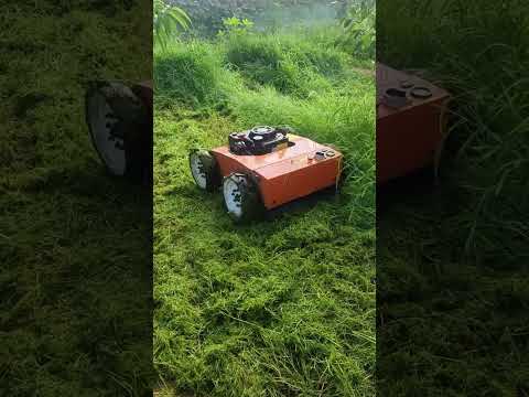 Remote Control Mower Real Test: Small Engine vs Heavy Grass | Customer Experience