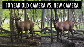 10-Year-Old DSLR vs New Mirrorless Camera Test