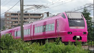 特急ハマナスしらゆき3号 E653系U107編成代走【4K】信越本線下り53M
