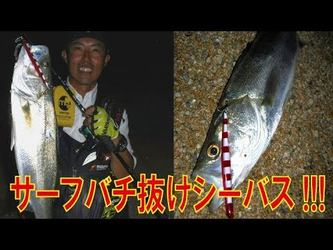 シーバスが簡単に釣れる時期 初心者におすすめバチ抜けシーズン Youtube