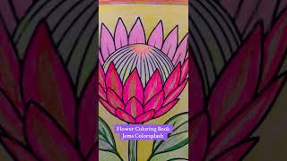 King Protea Flower Coloring Book #kidscoloringbook #coloringadventure #gelpens