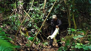 Return to shelter in tree roots. Mushrooms grow a lot. Set trap and make rabbit stew with mushrooms.