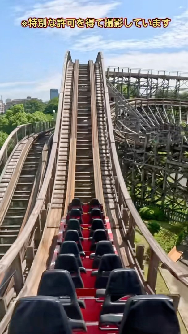 ROLLERCOASTER ローラーコースター ET211RO 100cm×190cm Ride the intense, side-to-side rocking wooden coaster with
