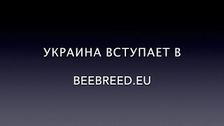 Украина вступает в Beebreed