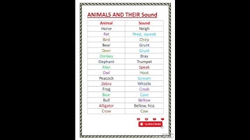 Animals and their sound l animal and their sound in english