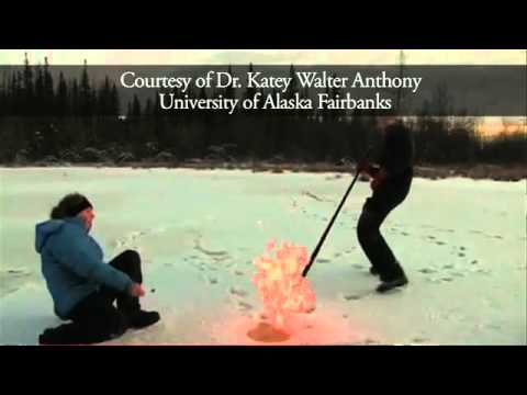 education film Seeping arctic methane could damage Florida Coast