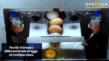 Egg breaker with yolks/whites separation - RZ-0 by OVO-TECH