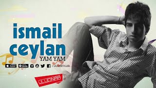 İsmail Ceylan - Hani Dostlarım Resimi