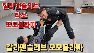 칼라앤슬리브에서 오모블라따 서브미션