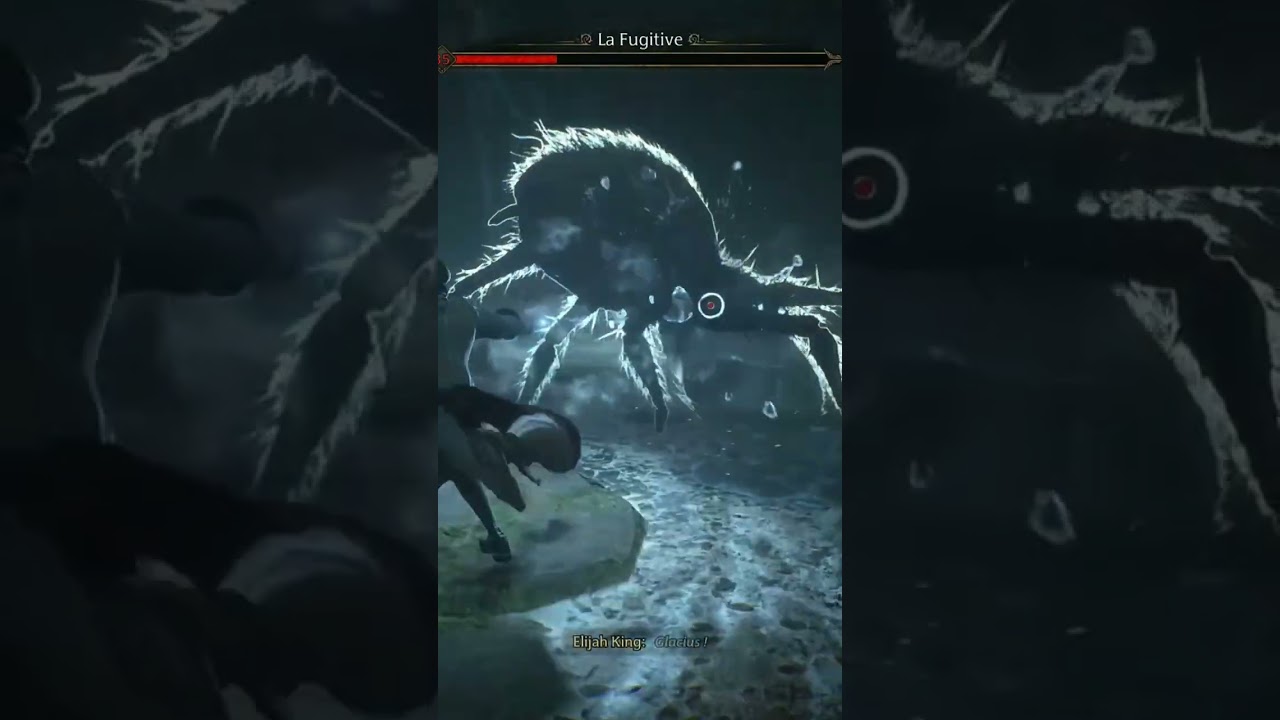 Head of Acromantula's in the ground Hogwarts Legacy 