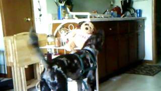Francie's Pictures 446.AVI