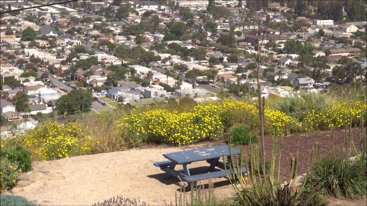 Views From Grant Park / Serra Cross Park in May 2020