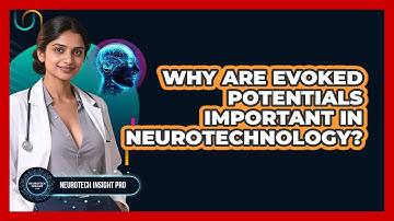 Why Are Evoked Potentials Important In Neurotechnology? - Neurotech Insight Pro