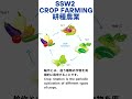 SSW2 crop farming　連作障害の対策