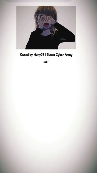 Story wa hacker defacer