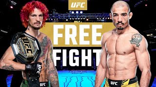 SEAN O'MALLEY vs JOSE ALDO / FULL FIGHT / FREE FIGHT / #ufc #mma #fighting