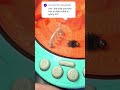 Ferro Pets All Features #ferropets #toys #tamagotchi #pokemon #nostalgia