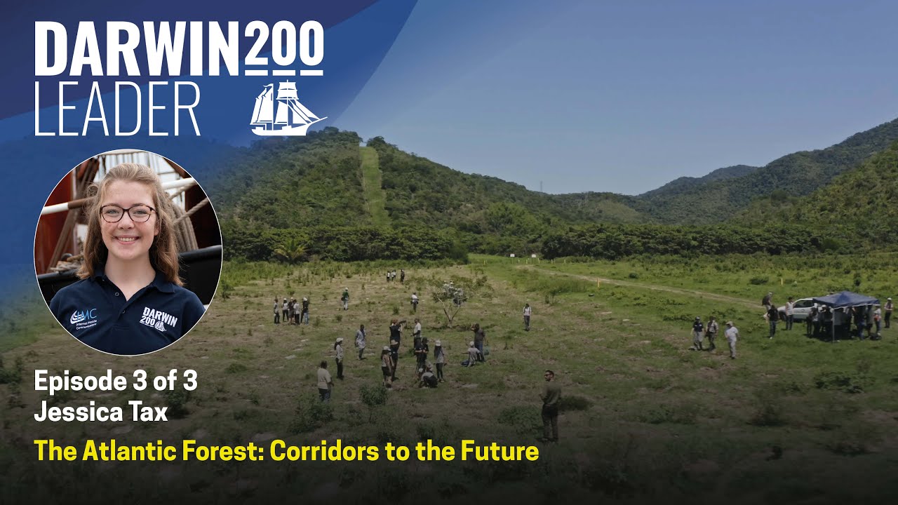 Atlantic Forest: Corridors to the Future - Jessica Tax - Episode 3