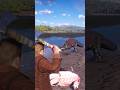 Simulate extreme hunting &amp; survival skills vol193 rdr2 #shorts #short