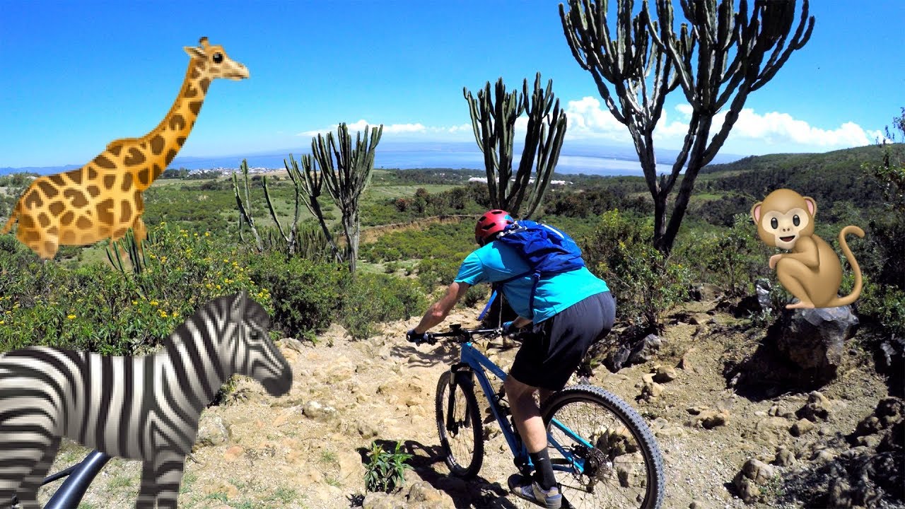 THE MOUNTAIN BIKE SAFARI Riding in Hell's Gate National Park, Kenya