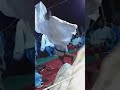 اميد دندني كالا