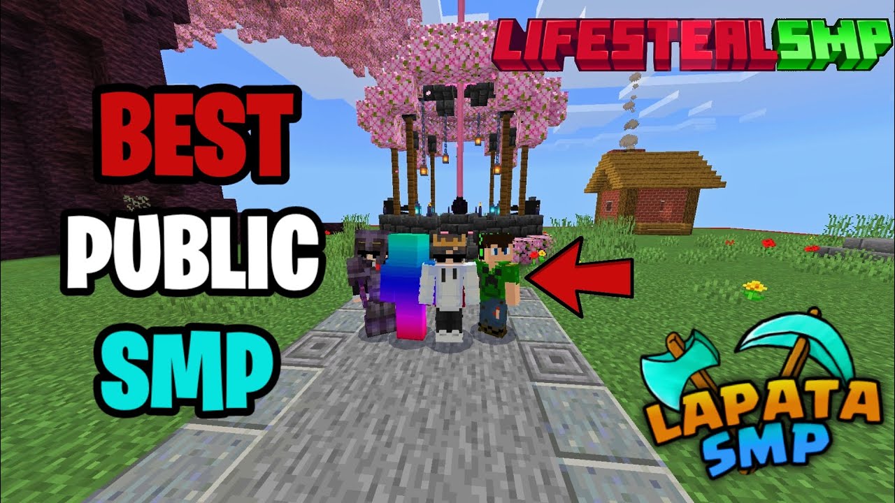 🇮🇳 New Best Lifesteal Public Smp For Minecraft 🎉 | Java + Pocket | 24/7 ...