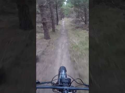 #surron #dirtbike #trails #emoto #enduro  #surronlightbee #bikelife