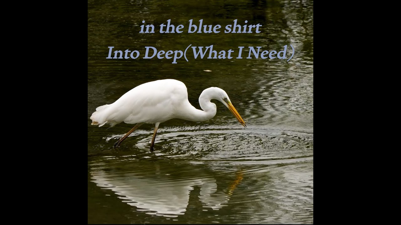 in the blue shirt - Into Deep (What I Need) - YouTube