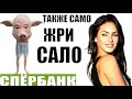 ✅ Также само Танюша опять накормила мошонку салом / мошенники звонят по телефону