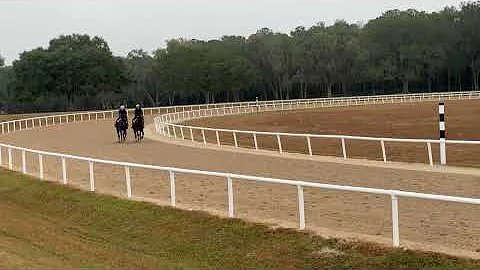 12/5/25 Munnings/Twirling Candy Yearlings