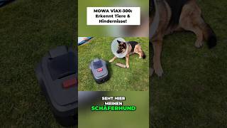 Mähroboter & Haustiere – MOVA ViAX 300 im Test!